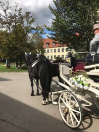 kutschfahrten-6