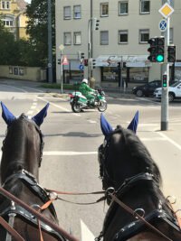 kutschfahrten-7