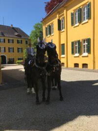 kutschfahrten-8